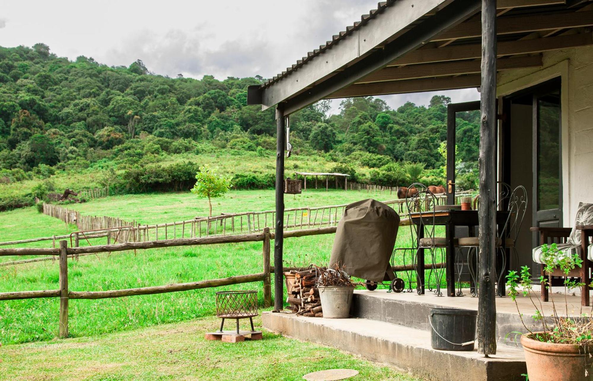 Newstead Farm - Country Cottages Curryʼs Post Exteriér fotografie