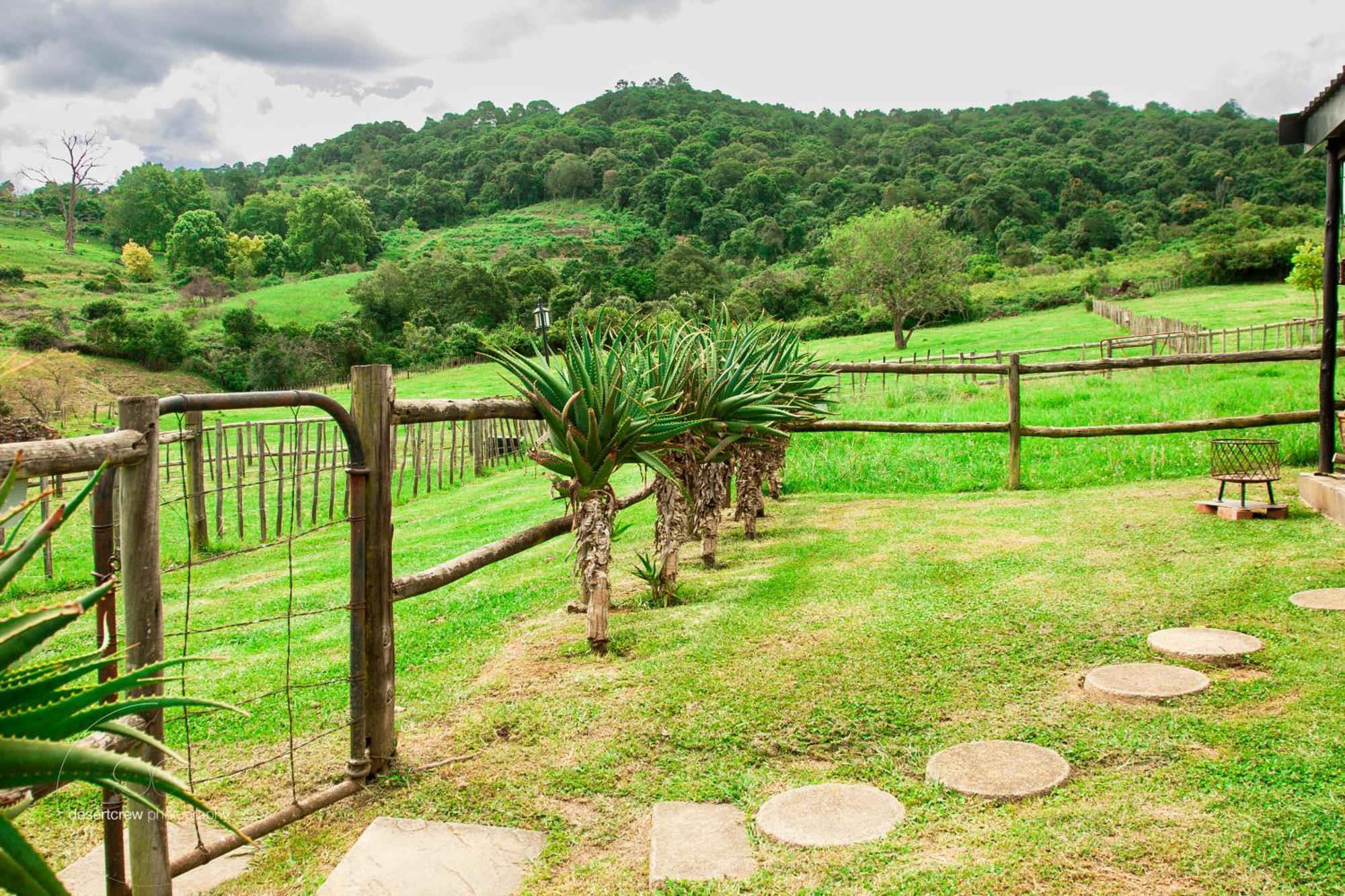 Newstead Farm - Country Cottages Curryʼs Post Exteriér fotografie