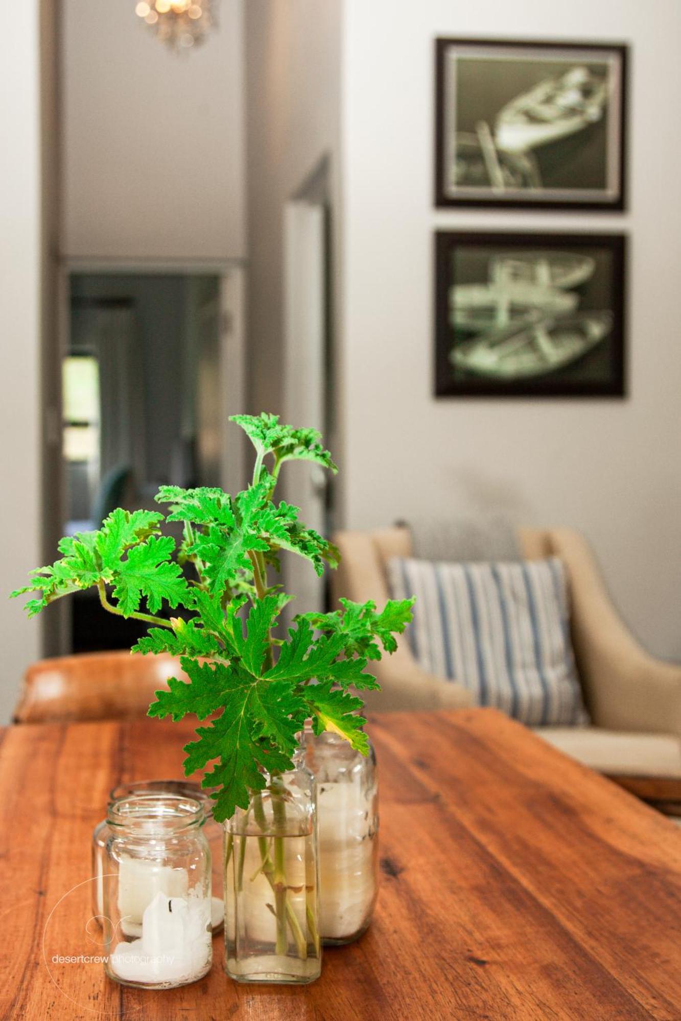 Newstead Farm - Country Cottages Curryʼs Post Exteriér fotografie